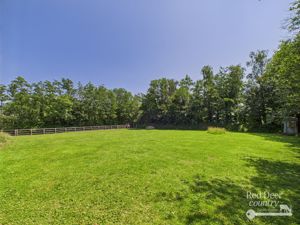 Paddock- click for photo gallery